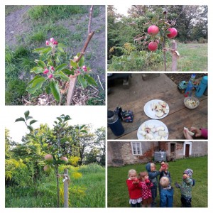 20201010_124407-collage.jpg
